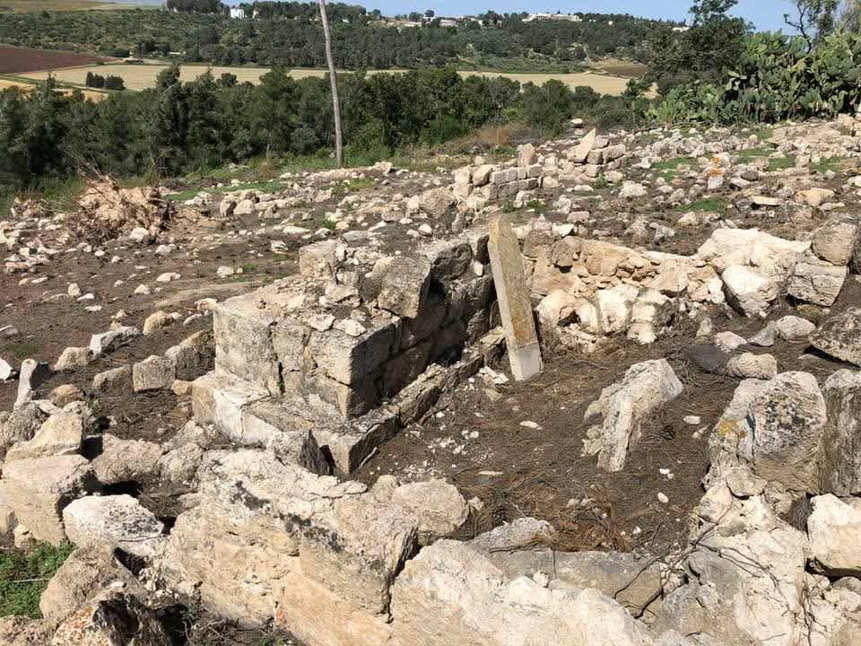 قرية لوبية / مدينة طبريا، عدسة إياد جابر